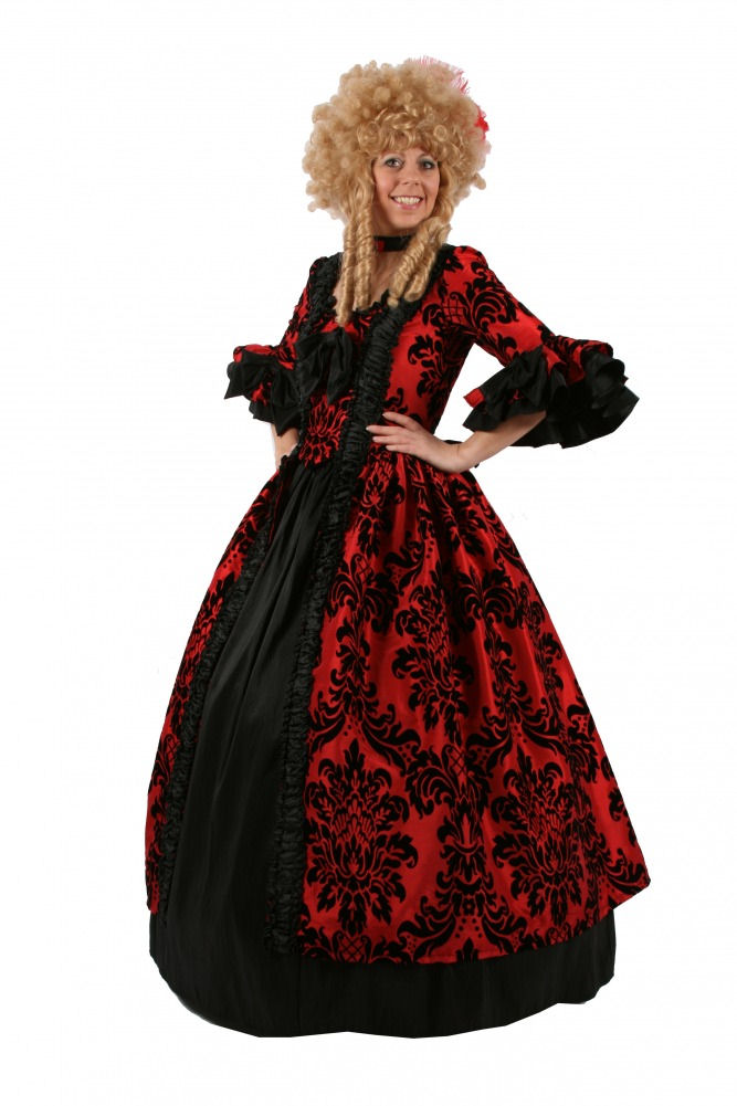 Deluxe Ladies 18th Century Marie Antoinette Masked Ball Costume Size 24 - 26 Image